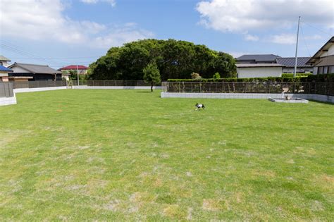 田川ドッグラン：あなたのペットとの最高の遊び場ガイド