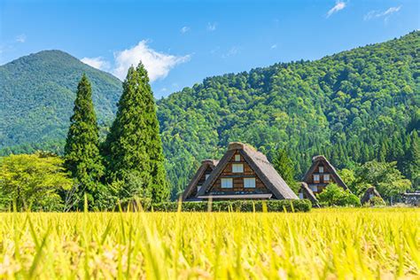 田舎の魅力