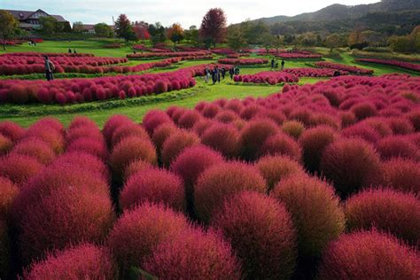 由仁花園：屏東縣內最大的綜合性公園