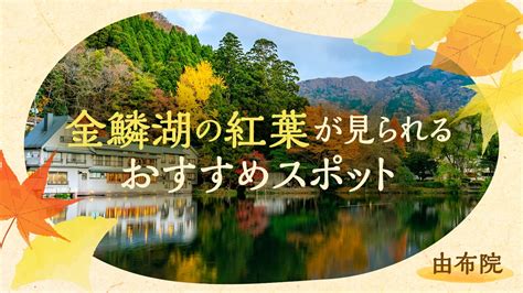 由布院 楓の小屋：紅葉の絶景と癒しの隠れ家