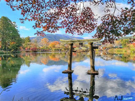 由布院 金 鱗 湖