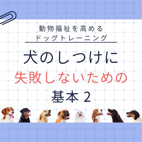 甲斐犬のしつけに失敗しないために