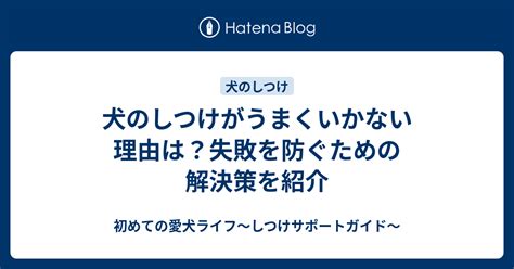 甲斐犬のしつけ失敗を防ぐための完全ガイド