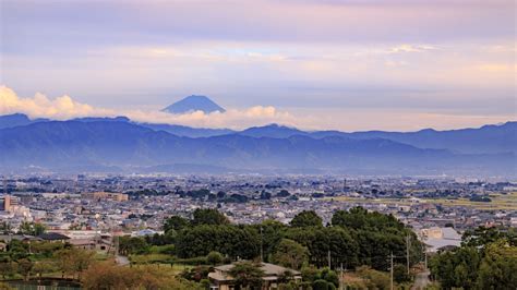 甲斐 市