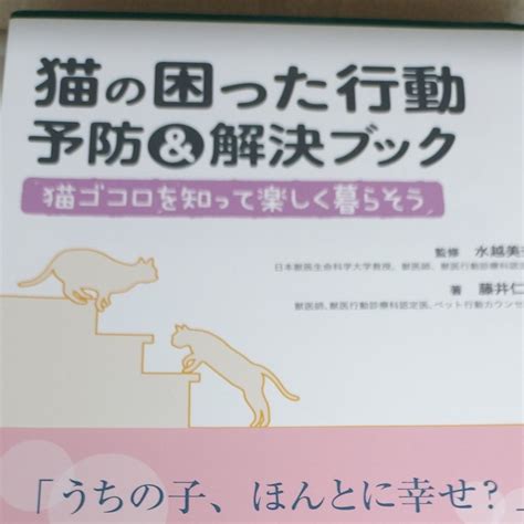 留守番 猫の困った行動を解決するための完全ガイド