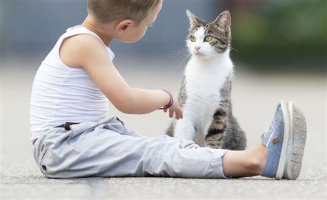 病気になりにくい猫をつくる10の習慣