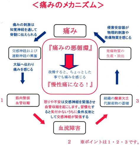 痛みの訴え: