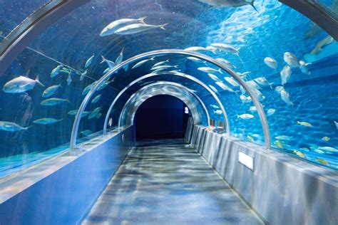 登別市虎杖浜「登別マリンパークニクス」(登別水族館)