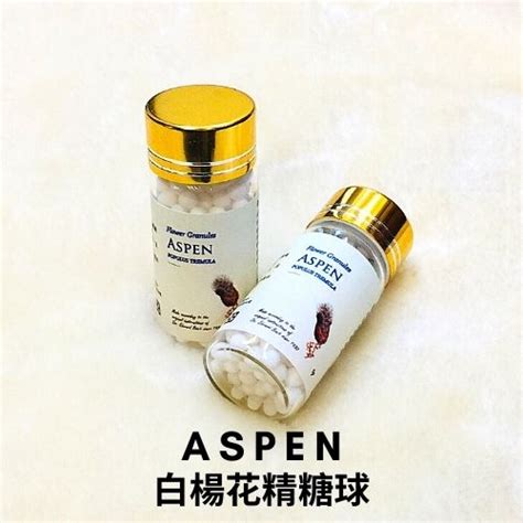 白楊（Aspen）中文