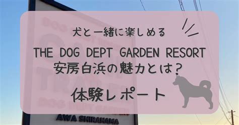 白浜で愛犬と一緒に楽しめるドッグカフェの魅力