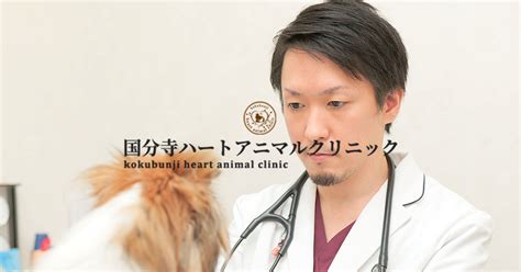 白金 アニマル クリニック：あなたの大切なペットの健康を最優先する