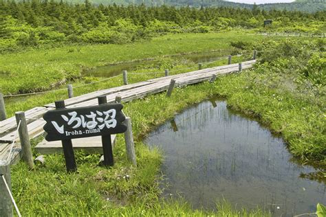 白銀荘 蔵王で過ごす極上の温泉体験