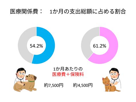 白長動物病院でペットの健康を維持しましょう