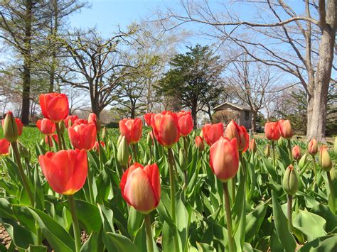 百合が原公園簡介