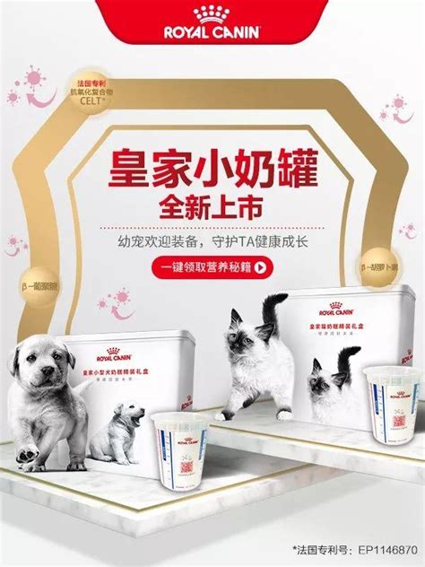 皇家寵物食品：專為君王愛犬打造的奢華饗宴