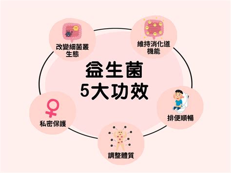 益生菌的功效：維持健康、預防疾病的關鍵角色