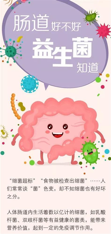 益生菌：健康腸道的秘密武器