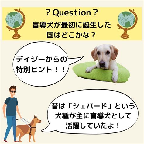 盲導犬が誕生するまでの道のりを徹底解剖！