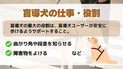 盲導犬って、本当は何だろう？