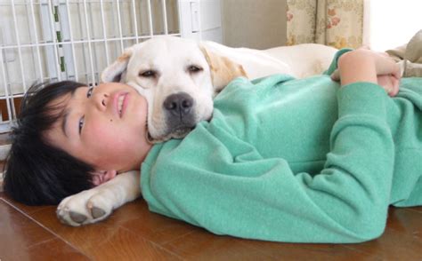 盲導犬になるまでの道のり