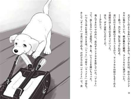 盲導犬になるまでの道のり：あなたの相棒犬を育てる方法