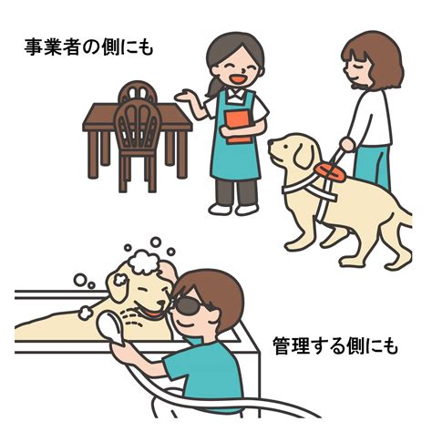 盲導犬に関する包括ガイド