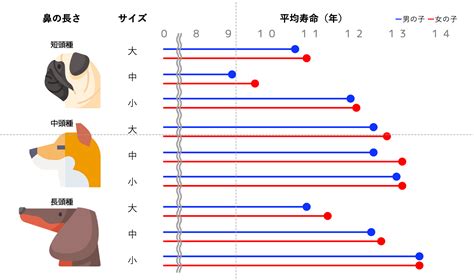 盲導犬の寿命：平均寿命と要因