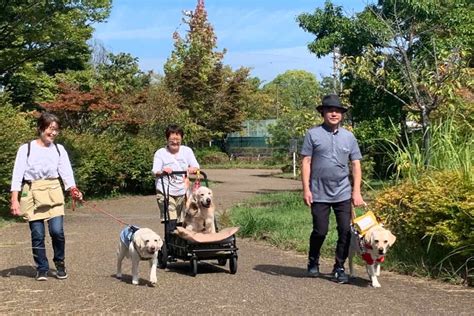 盲導犬の幸せな引退生活を支える