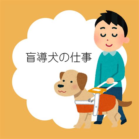 盲導犬の引退後と今後の生活