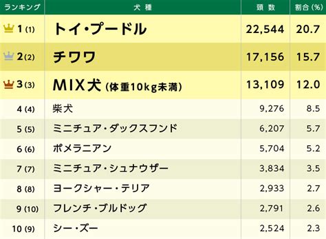 盲導犬の犬種ランキング