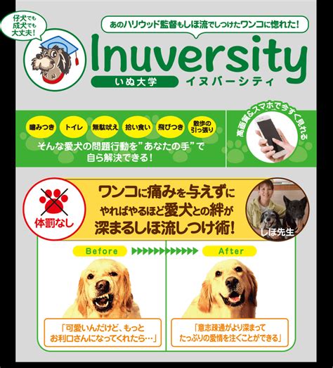 盲導犬グッズで愛犬との絆を深めよう！