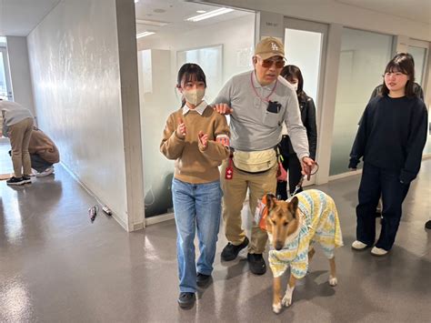 盲導犬センター: 視覚障がい者の自立と自由のための頼もしいパートナー