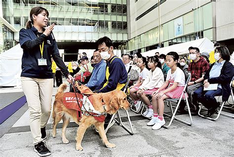 盲導犬センターの役割