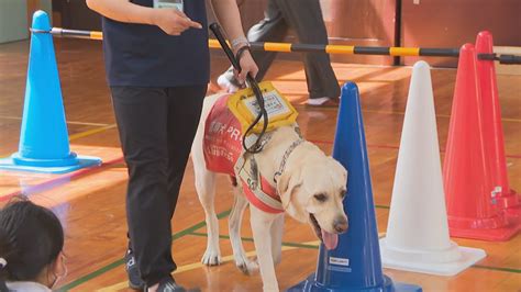 盲導犬センター：目の不自由な方の生活を照らす光