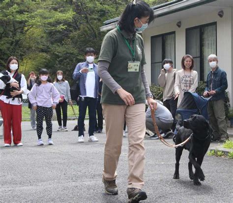 盲導犬パピーウォーカーのすべて