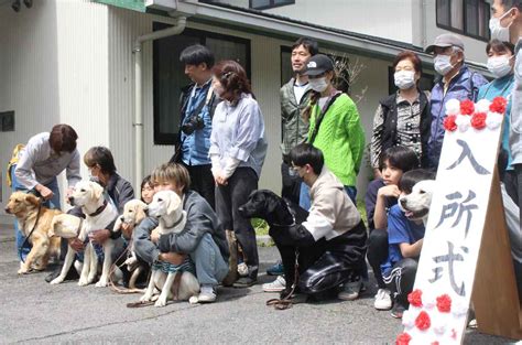 盲導犬パピーウォーカー：かけがえのない経験と社会貢献