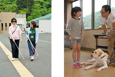 盲導犬訓練センター: 視覚障害者の自立と社会参加を支える