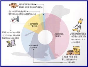 盲導犬 引退までにかかる費用と期間は？