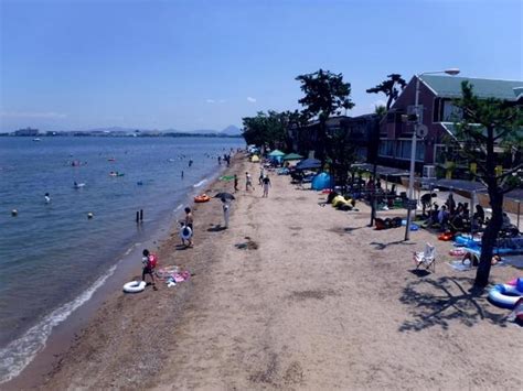 真野浜水泳場：湘南の美しい海岸で水泳を楽しむ