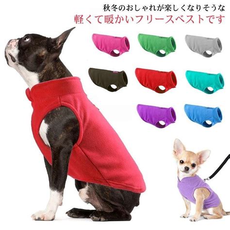 着せやすい犬の服でストレスフリーなドッグライフを送ろう