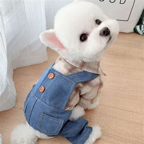 着せやすい犬の服で愛犬を快適に