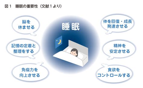 睡眠の重要性