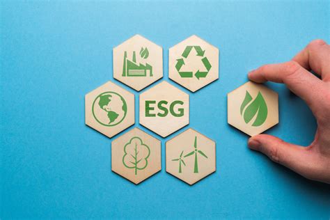 瞄準永續發展目標，臺灣企業的 ESG 轉型實務