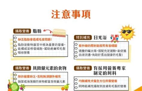 瞭解毛孩的營養需求