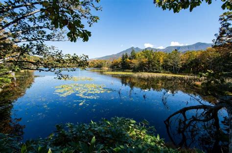 知床五湖：北海道知床半島上的五顆藍寶石