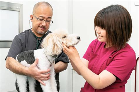 石井動物病院の特徴