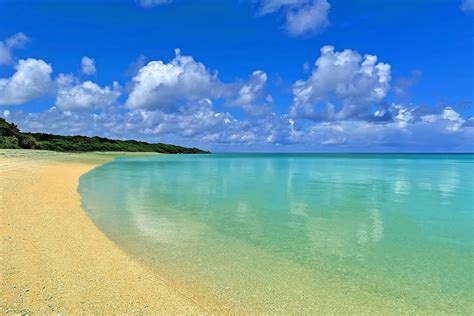 石垣島の海を彩る小さな宝石「石垣島海すずめ」