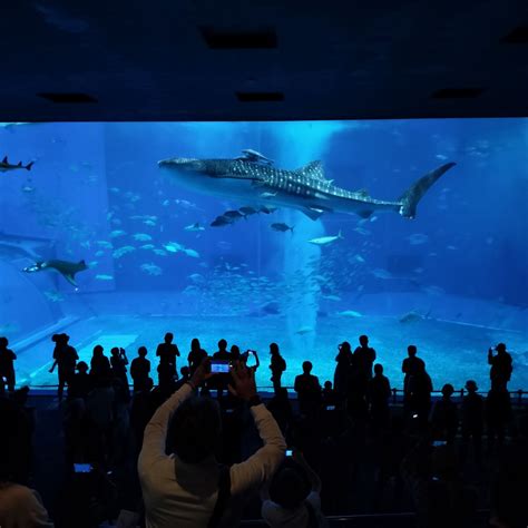 石川水族館