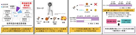 研究では、セラピーが次のような症状の改善に効果的であることが一貫して示されています。