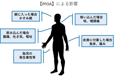 研究によると、名前は以下のような影響を及ぼすことがわかっています。